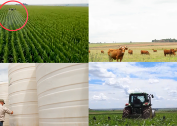 South African farmers turn to drones as Iran conflict drives up fuel costs, fertiliser shortages