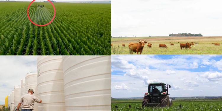 South African farmers turn to drones as Iran conflict drives up fuel costs, fertiliser shortages