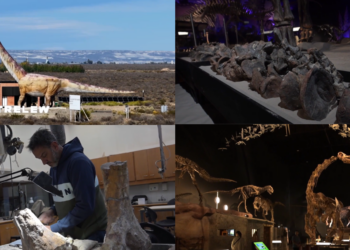 Patagonian ‘missing link’ – New 160-million-year-old dinosaur species found in Chubut sheds light on sauropod evolution