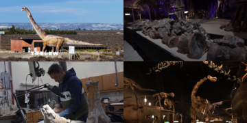 Patagonian ‘missing link’ – New 160-million-year-old dinosaur species found in Chubut sheds light on sauropod evolution