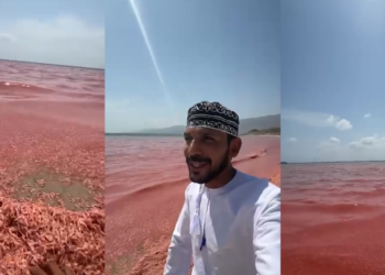 Patagonian ‘missing link’ – New 160-million-year-old dinosaur species found in Chubut sheds light on sauropod evolution