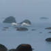Shall we dance?! – Mesmerising swan courtship ritual caught on camera in Gulf of Finland