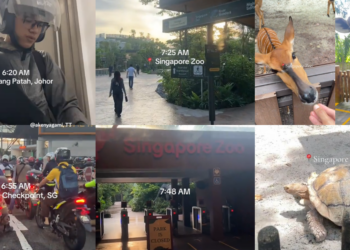 From Johor to Mandai Before 8AM: Zoo Worker’s Daily Commute and Mandarin Skills Go Viral