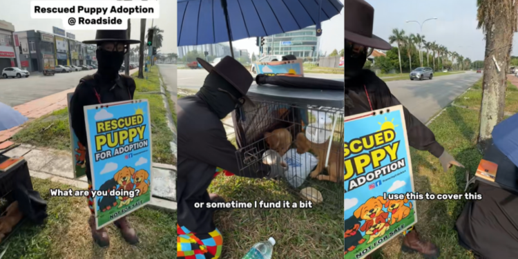 For 12 Years, This Man Has Spent Every Weekend Finding Homes for Stray Dogs