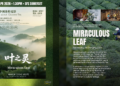 Chinese Tea Documentary MIRACULOUS LEAF to Screen at SFS  Somerset Following Well-Received World Premiere