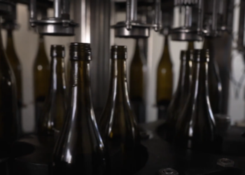 Cheers! – South African wineries eye China boom as zero-tariff rollout nears