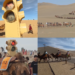 Speed humps! – Camel TRAFFIC LIGHTS in China’s Gobi Desert for peak tourist season