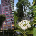 That Familiar Floral Night Smell Around Singapore? It Might Be Tembusu Flowers