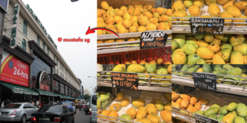 Mango Season Lands in Singapore with Full Indian Lineup at Mustafa Centre