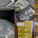 Malaysian Pokémon Collector Offers RM4.44 Million Card Collection For Sale And Luxury Trade