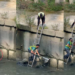 Viral Video Shows Brave Men Saving Trapped Cat From Dangerous Canal