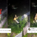 Monkey Eats Insects Near Streetlight In Viral Late-Night Video