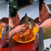 Cat Steals Fried Chicken From Boy During Viral Lunch Video