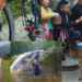 Singapore Woman Cycles Solo Across Southeast Asia, Documenting Challenges, Culture, And Kindness
