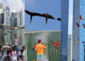 GPS-Tracked Macaws Enjoy Free Flying Over Singapore’s Marina Bay With Owners