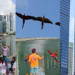 GPS-Tracked Macaws Enjoy Free Flying Over Singapore’s Marina Bay With Owners