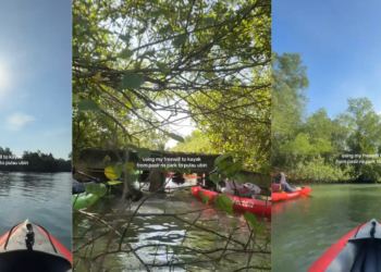 Do You Love Nature And Food? Explore Three Unique Experiences In Singapore