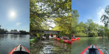Do You Love Nature And Food? Explore Three Unique Experiences In Singapore
