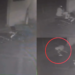 14-Year-Old Girl Escapes Malaysia Abduction Attempt After Biting Motorcycle Suspect