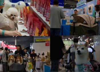 ROK’s biggest pet fair opens with fashion, food and pet-tech in Ilsan