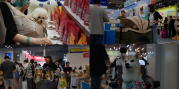 ROK’s biggest pet fair opens with fashion, food and pet-tech in Ilsan