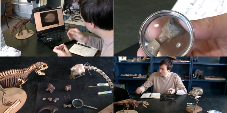Argentine scientists discover new dinosaur species that roamed the Earth 70 million years ago