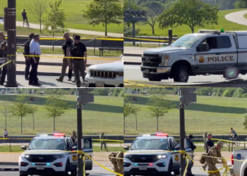 Caught in crossfire – Child hurt after Secret Service exchange fire with armed suspect