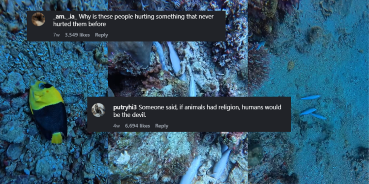 Fish Bombing Causes Mass Fish Deaths and Destroys Marine Ecosystems Across Southeast Asia