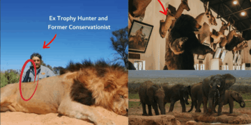 Animal Head Trophy Hunter Dies while hunting for Antelope Valued at $36K