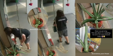 “Who walks around with a knife?” – Woman Caught Cutting Aloe Vera Plant Outside Woodlands Shop