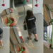 “Who walks around with a knife?” – Woman Caught Cutting Aloe Vera Plant Outside Woodlands Shop