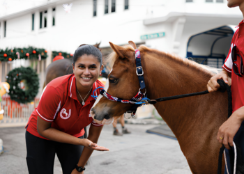 Building Champions, Opening Doors: Equestrian Federation of Singapore Marks 50 Years