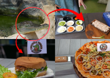 Biting back – Filipinos snapping up gourmet crocodile burgers, pizzas as lean, mean alternative protein