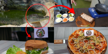 Biting back – Filipinos snapping up gourmet crocodile burgers, pizzas as lean, mean alternative protein