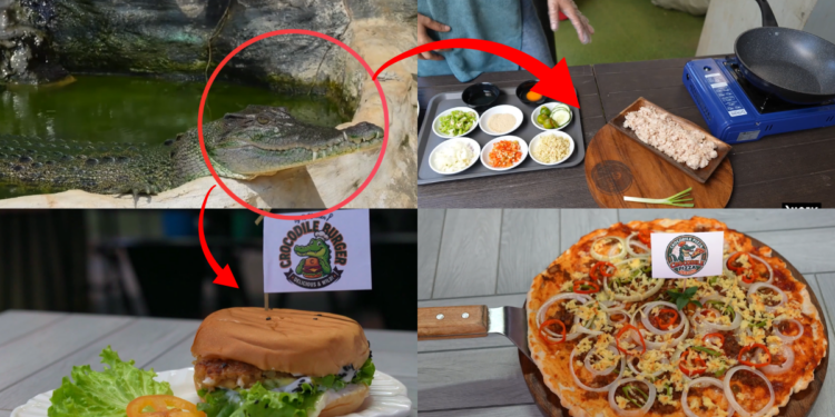 Biting back – Filipinos snapping up gourmet crocodile burgers, pizzas as lean, mean alternative protein