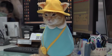 Ginger tabby gains global popularity as beloved ‘stationmaster Mikan’ at Taiwan’s Kaohsiung subway
