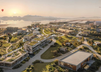 New Managing Company Established by Tamchy SFIT Prepares for Operations
