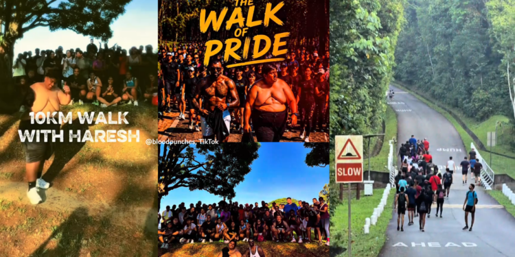 The Walk of Pride: Where Strangers Come Together for a No-Judgement Community Walk