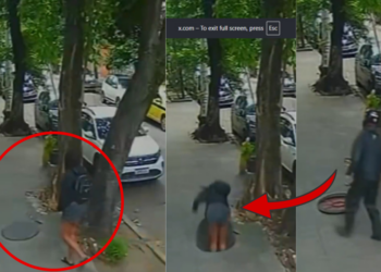 Woman Falls Into Misaligned Manhole While Using Phone in Brazil