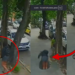 Woman Falls Into Misaligned Manhole While Using Phone in Brazil