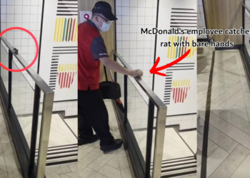 Taiwan McDonald’s Employee Stuns Customers by Catching Rat With Bare Hands