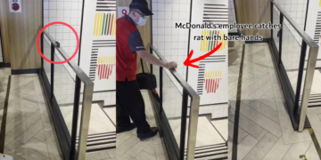 Taiwan McDonald’s Employee Stuns Customers by Catching Rat With Bare Hands
