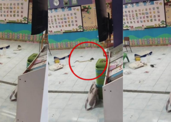 Has the World Turned Upside Down? Rat Seen Bullying Snake in Classroom!