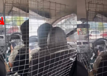 Female E-Hailing Driver Installs Protective Metal Cage Around Driver Seat for Everyday Safety
