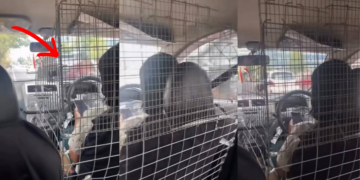 Female E-Hailing Driver Installs Protective Metal Cage Around Driver Seat for Everyday Safety