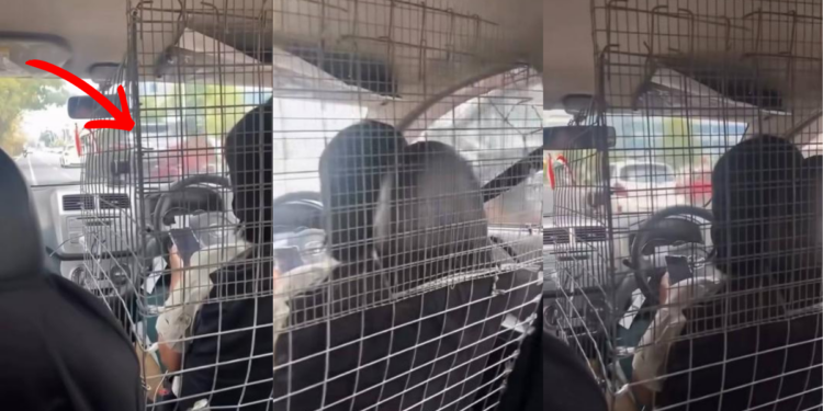 Female E-Hailing Driver Installs Protective Metal Cage Around Driver Seat for Everyday Safety