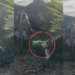 Two Playful Monkeys Caught Drinking Beer Together At Popular Island Tourist Attraction