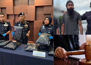 Private University Student Charged After Police Seize RM1.17 Million Cannabis Buds