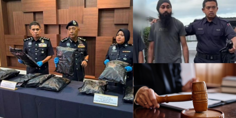 Private University Student Charged After Police Seize RM1.17 Million Cannabis Buds