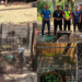 Teen Arrested After Police Seize RM48,500 Protected Wildlife During House Raid Operation
